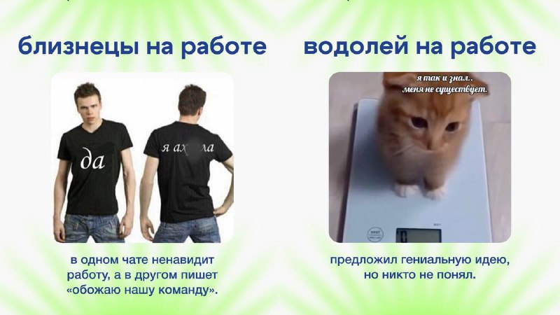 Офисные астрологи показали, как разные знаки зодиака ведут себя на работе — Топор. Экономика.