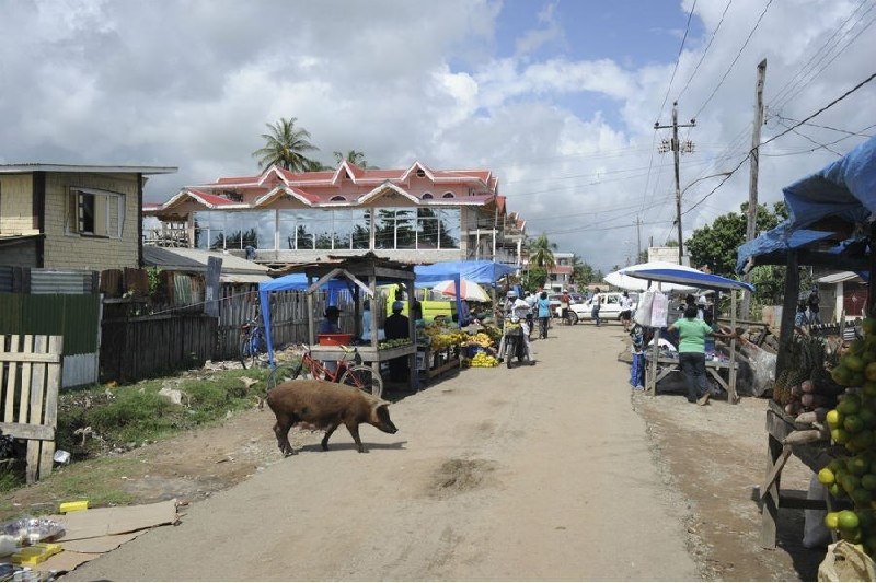 Болгария и Гвиана имеют развитые экономики. — banksta