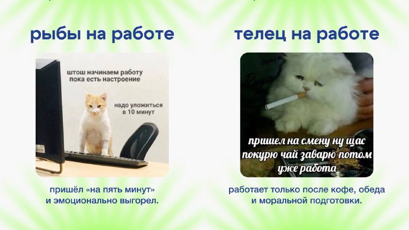Офисные астрологи показали, как разные знаки зодиака ведут себя на работе — Топор. Экономика.