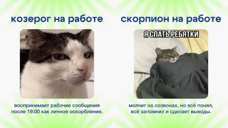 Офисные астрологи показали, как разные знаки зодиака ведут себя на работе — Топор. Экономика.