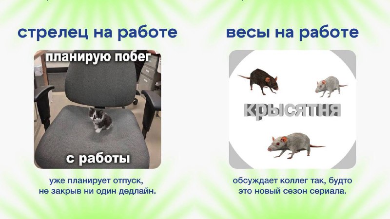 Офисные астрологи показали, как разные знаки зодиака ведут себя на работе — Топор. Экономика.